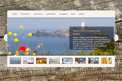 web design new forest