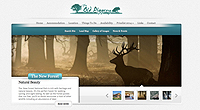 website design new forest